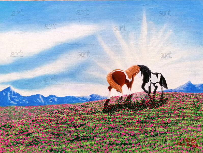 „Horses in the meadow“ (Photocards and stickercards)“